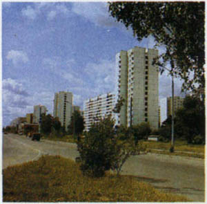 1205-11.jpg