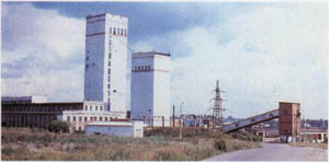 1206-19.jpg