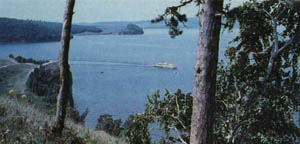 1206-21.jpg