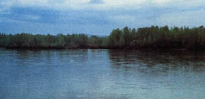 1206-29.jpg
