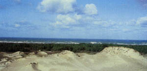 1206-36.jpg