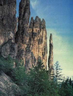 1301-6.jpg