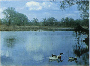1401-21.jpg