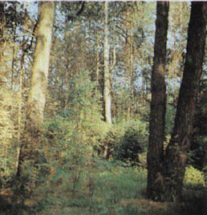 1401-27.jpg