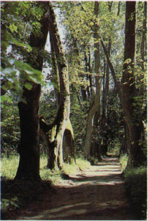 1401-28.jpg