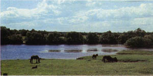 1401-30.jpg