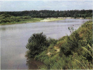 1401-35.jpg