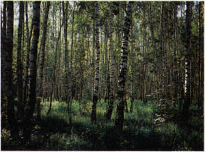 1401-36.jpg