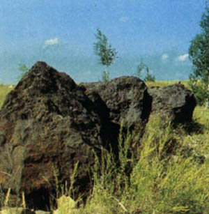 1401-6.jpg