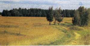 1501-12.jpg