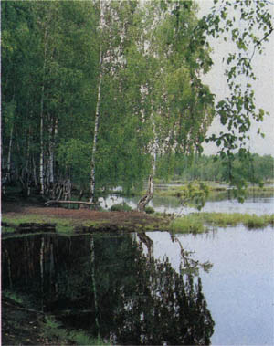 1501-14.jpg
