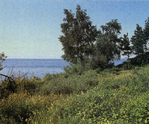 1502-6.jpg