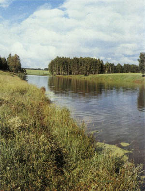 1601-26.jpg