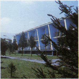 1701-13.jpg