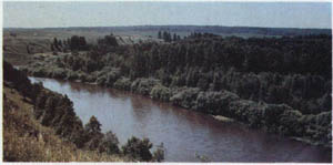 1701-17.jpg
