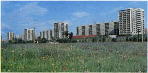 1701-19.jpg