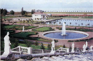1701-23.jpg