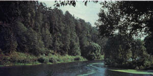 1701-5.jpg