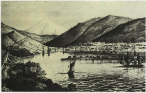 1702-1.jpg