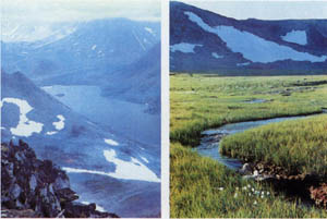1702-14.jpg