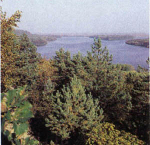 1702-6.jpg