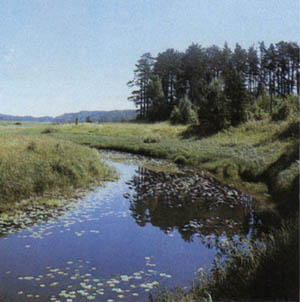 1703-19.jpg