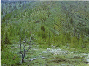 1703-7.jpg