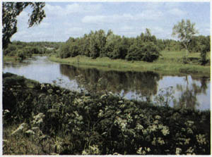 1801-15.jpg
