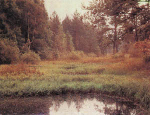 1801-24.jpg