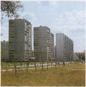 1801-3.jpg