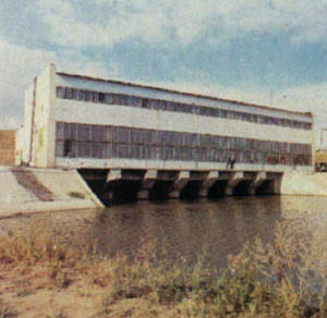 1901-33.jpg