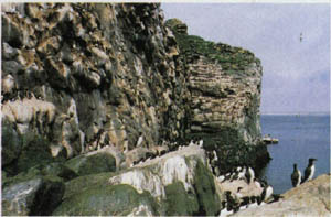 1902-5.jpg