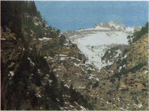 1903-1.jpg