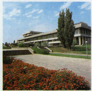 1904-10.jpg