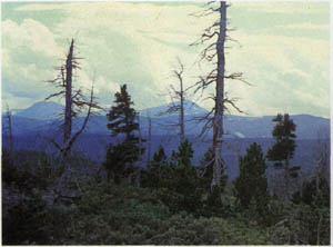 1904-14.jpg