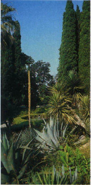 1904-5.jpg