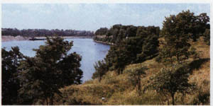 1905-5.jpg
