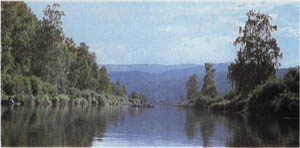 1905-9.jpg