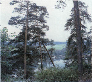 2001-8.jpg