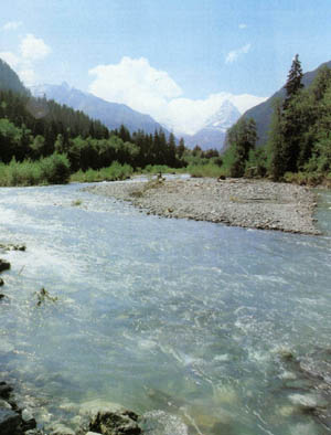 2002-1.jpg
