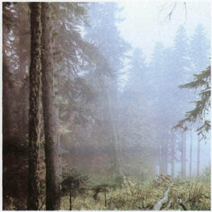 2002-2.jpg