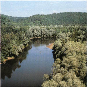 2002-4.jpg