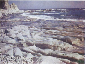 2002-5.jpg