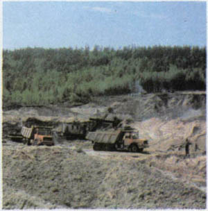 2003-15.jpg