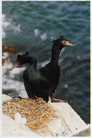 2003-18.jpg