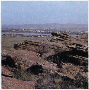 2003-2.jpg