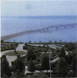 2101-10.jpg
