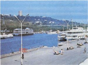 2101-13.jpg