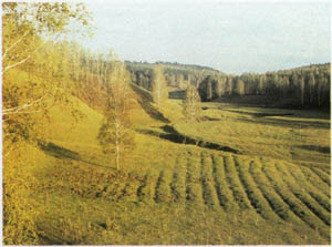 2101-16.jpg
