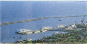 2101-17.jpg